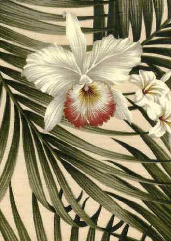 Click for an overall view