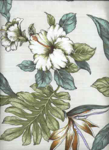 Click to see an overall view of this fabric