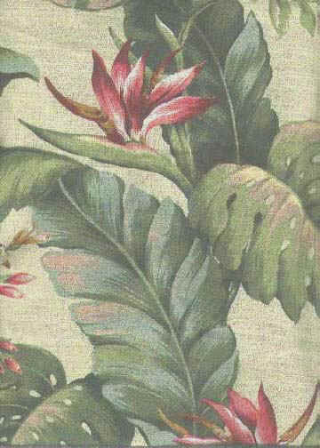 Click here for an overll view