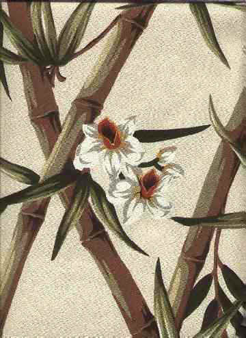 Click here for an overall view