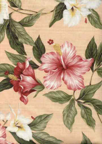 Click for an overall view