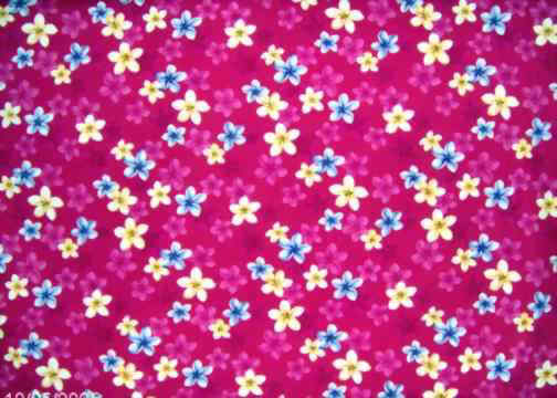 60plumeria fuschia, Plumeria Flowers - broadcloth, apparel cotton Hawaiian vintage style fabric