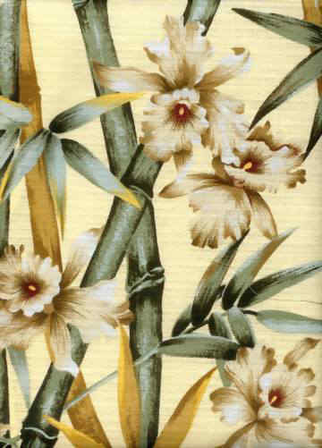 Click for an overall view