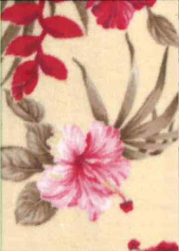 Click here for an overall view