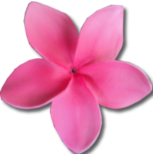 Hawaiian Plumeria Clip