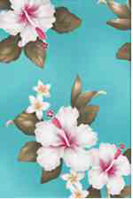enlarged view of image