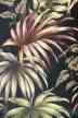 Kava Black - tropical vintage style, Hawaiian botanical fabric. 