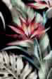 Mohala Black, Bark Crepe Upholstery fabric,Bird of Paradise, Cotton Hawaiian vintage style fabric.