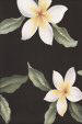Plumeria Black Hawaiian vintage style fabric
