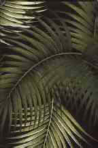 Use for upholstery, drapes, cushions, pillows, jackets, bags, tables
