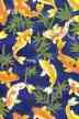 20koi pond