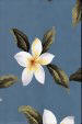 Plumeria Frangipani Flowers on a Blue colored cotton Upholstery Fabric