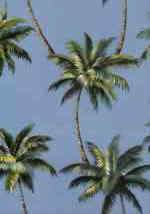 20makani Hawaiian vintage style fabric