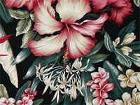 Tropica