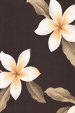 Plumeria Frangipani Flowers on a Brown colored cotton Upholstery Fabric