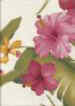 Hamakua White Tropical Hibiscus & Ginger Orchids on nubby upholstery bark cloth