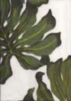 30 ohana Tropical Monstera leaves on super light polar fleece
