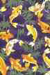 11koi pond