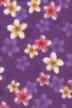 11plumeria