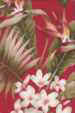 Hibiscus, plumeria, bird of paradise & Orchid flowers