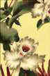 Tropical White Orchid Flowers on a yellow non-upholstery barkcloth