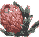 Protea & Misc. Flower Motifs