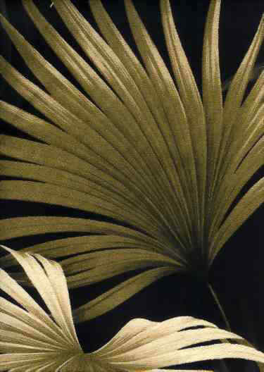 Kailua Black Tropical Hawaiian Palm Ferns pattern on nubby bark cloth.