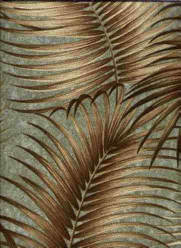 Click here for an overall view