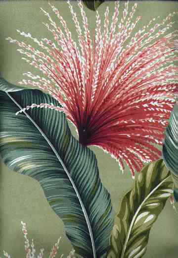 Click for overall view